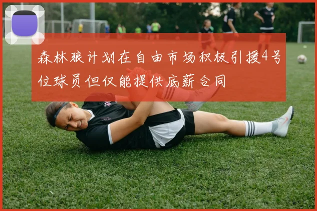 森林狼计划在自由市场积极引援4号位球员但仅能提供底薪合同