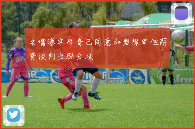 名嘴曝字母哥已同意加盟绿军但薪资谈判出现分歧